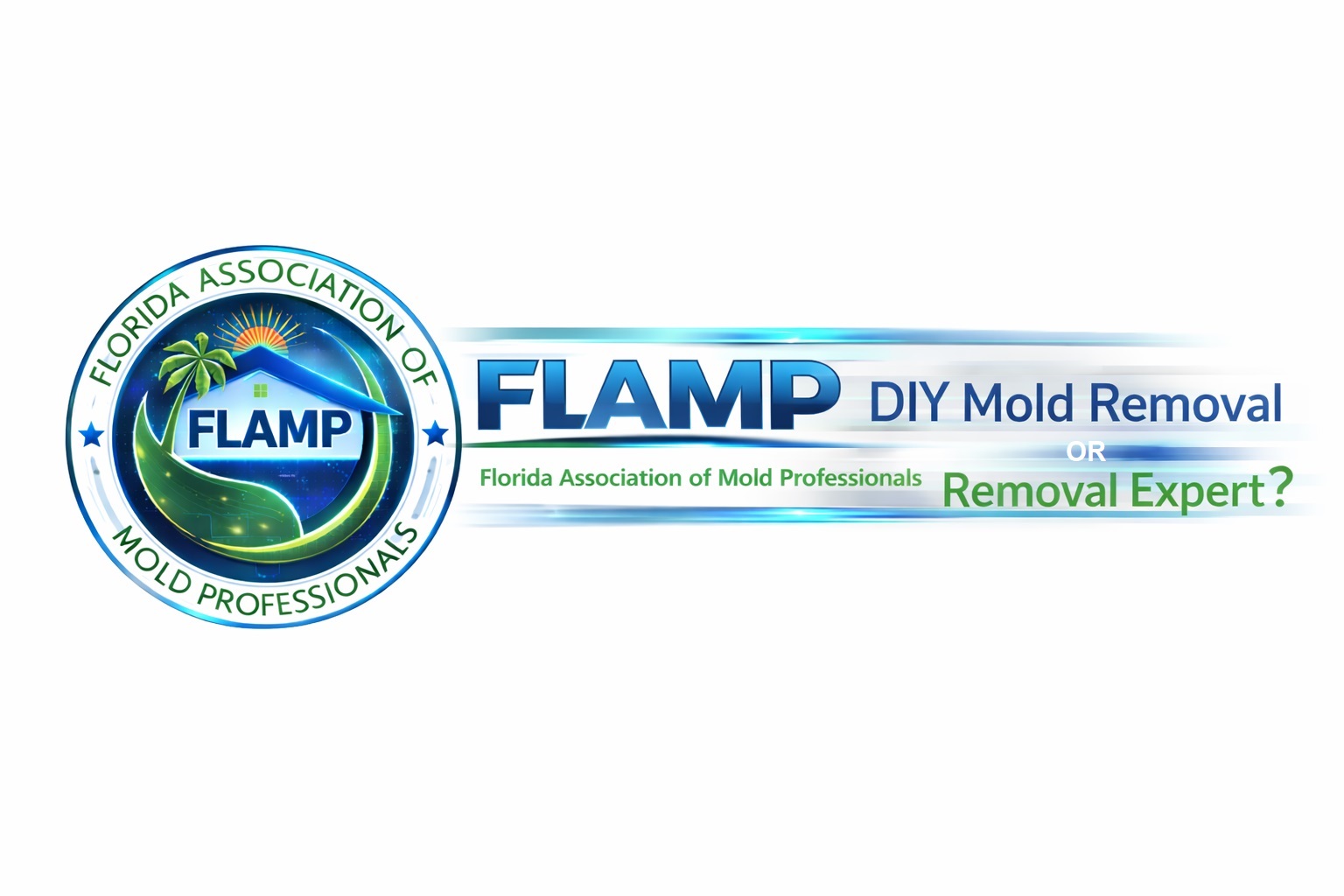 DIY Mold Removal or Mold Removal Company in Florida?